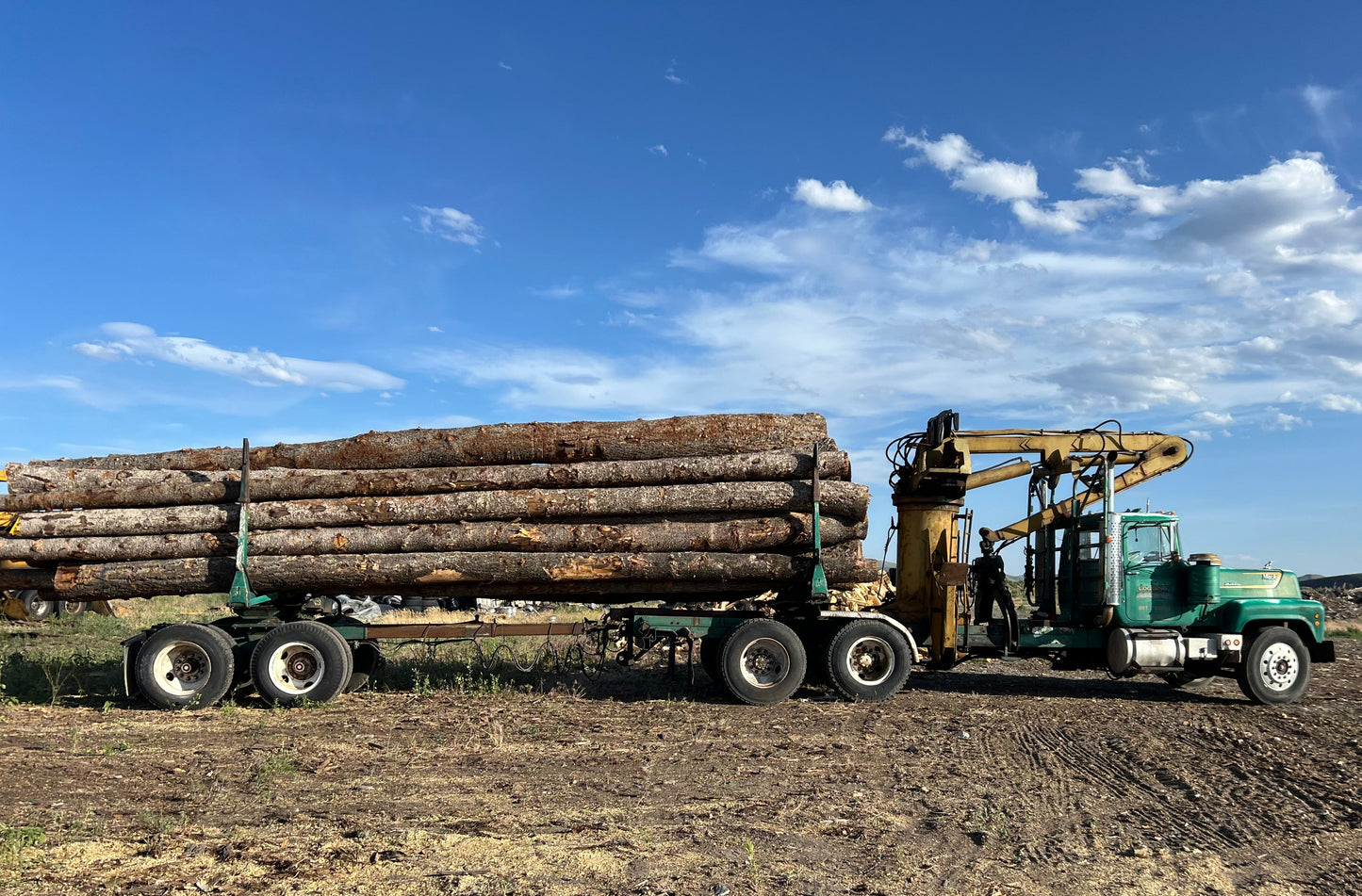 Wholesale Firewood Logs