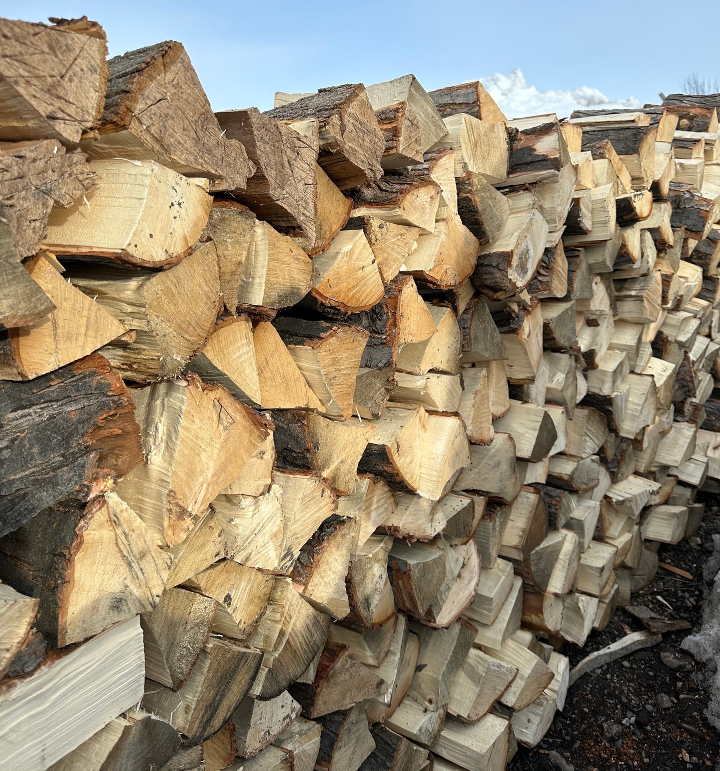 Maple Firewood